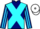 Horse Profile - Jockey Colours