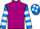 Horse Profile - Jockey Colours