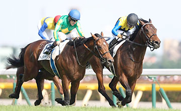 Japan Makahiki lands narrow victory in Derby | Horse Racing News ...