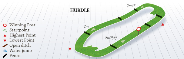 Hexham Racecourse Supporting Northumberland Day Conditional Jockeys’ Handicap Hurdle