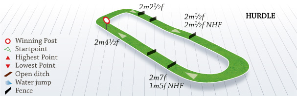 ABP Open National Hunt Flat Race (Category 1 Elimination) (GBB Race)