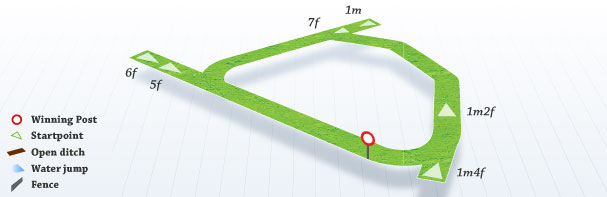 Al Shira’aa Racing Irish EBF Naas Oaks Trial (Listed Race) (Fillies)