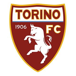 Go to Torino Team page