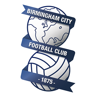 Go to Birmingham Team page
