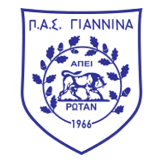 Go to Ioannina Team page
