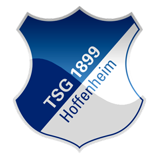 Go to Hoffenheim Team page