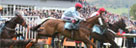 Cartmel Racecourse