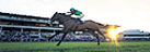 Leopardstown Racecourse