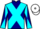 Horse Profile - Jockey Colours